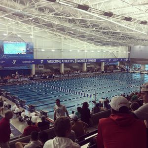 Image post by @wpiswimdive on Instagram