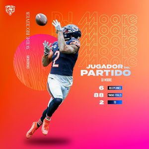 Image post by @bears_es on Instagram
