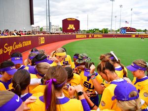 Image post by @lsusoftball on Instagram
