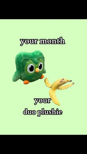 Video post by @duolingo on TikTok