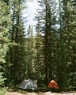 Image post by @runionrollsfilm on Instagram