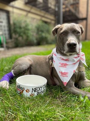 Image post by @LiveLikeRoo on Facebook