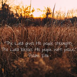 Image post by @camplebanon on Instagram