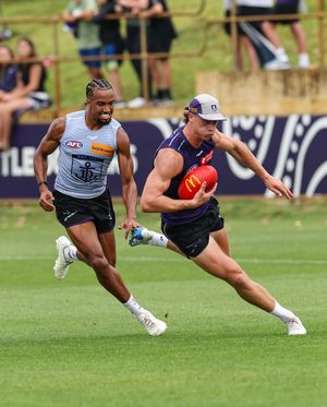 Image post by @freodockers on Instagram