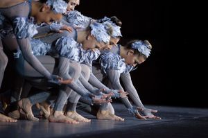 Image post by @ndadance on Instagram