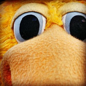 Image post by @mudhens on Instagram