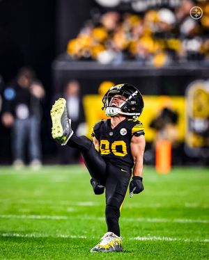 Image post by @steelers on Instagram