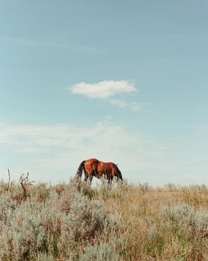 Image post by @vsco on Instagram