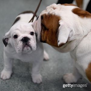 Image post by @gettyimages on Instagram