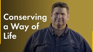 Video post by @shell on YouTube