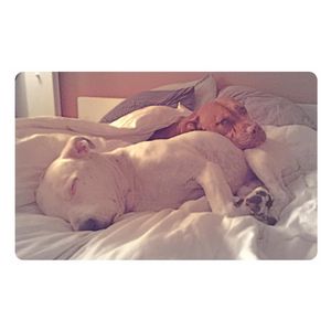 Image post by @manningsumner on Instagram