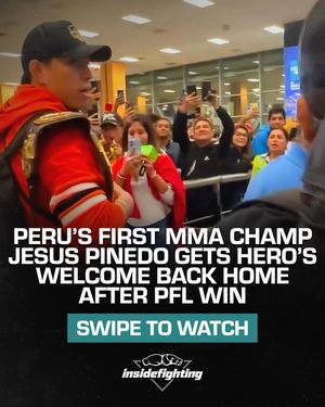 Image post by @insidefighting on Instagram