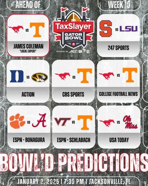 Image post by @taxslayergatorbowl on Instagram