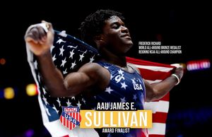 Image post by @usagym on Instagram