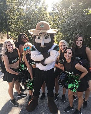 Image post by @charlotte49ersgolddusters on Instagram