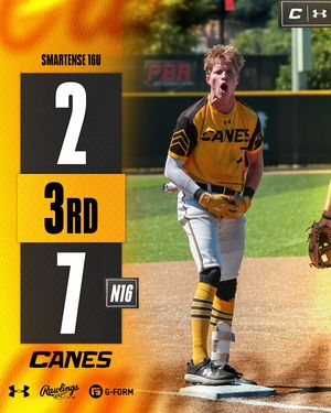 Image post by @thecanesbb on Instagram