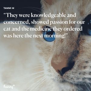 Image post by @yourfuzzy on Instagram