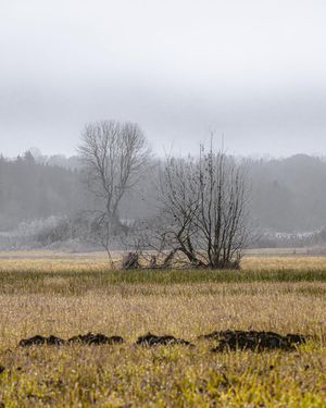 Image post by @cristan.nature.photography on Instagram