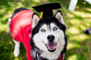 Image post by @northeastern on Instagram