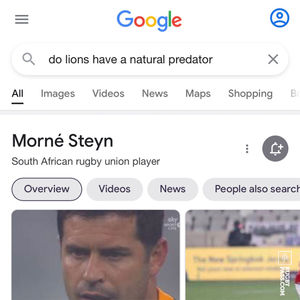 Image post by @rugbypass on Instagram
