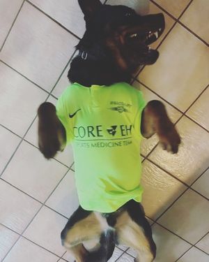 Image post by @seacoastunited on Instagram