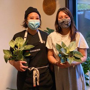Image post by @musangseattle on Instagram
