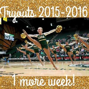 Image post by @csugoldenpoms on Instagram