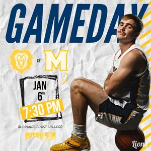 Image post by @vulions on Instagram