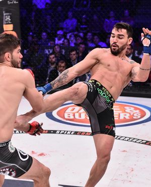 Image post by @bellatormma on Instagram