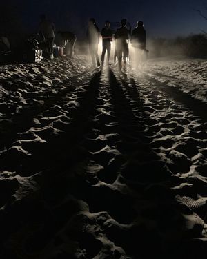 Image post by @txlfilms on Instagram