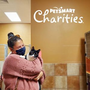 Image post by @spokhumanesoc on Instagram