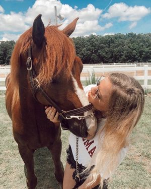 Image post by @appalachianequestrian on Instagram