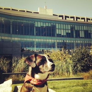 Image post by @seattleu on Instagram