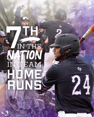 Image post by @sfa_baseball on Instagram