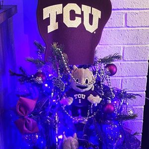 Image post by @texaschristianuniversity on Instagram