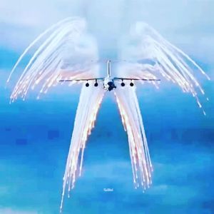 Image post by @bkboreyko on Instagram