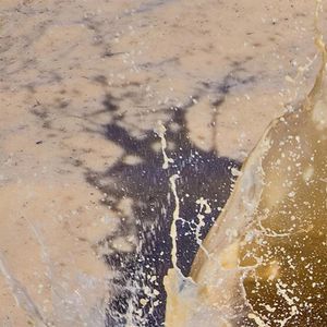 Image post by @sportsphotographermiami on Instagram