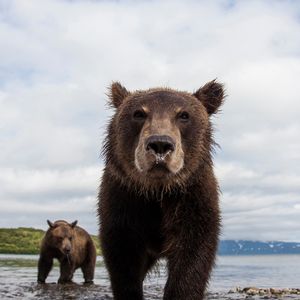 Image post by @discovery on Instagram