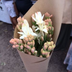 Image post by @sophieb on Instagram