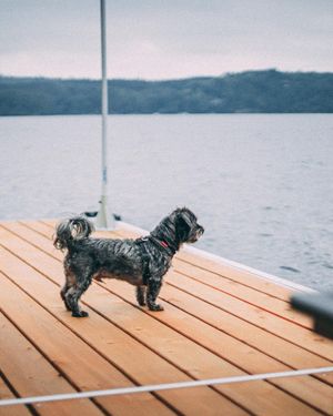 Image post by @tamanephotography on Instagram