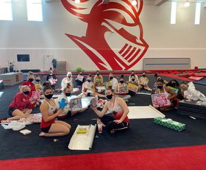 Image post by @rutgersgymnastics on Instagram
