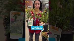 Video post by @lowes on YouTube
