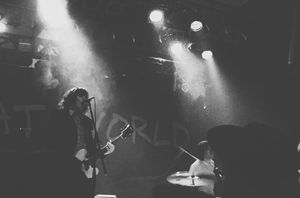 Image post by @glenroy on Instagram
