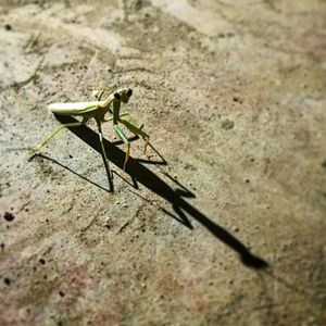 Image post by @alvaroportillo on Instagram