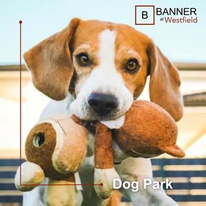 Image post by @BannerAtWestfield on Facebook