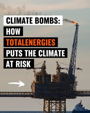 Image post by @greenpeace on Instagram