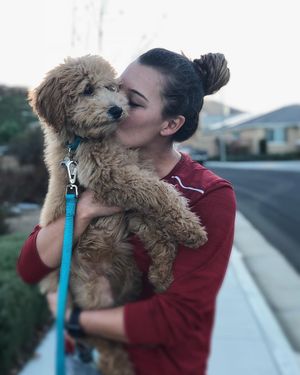 Image post by @sydsyd2 on Instagram