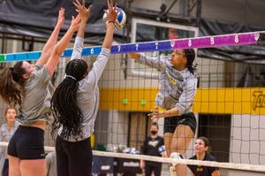 Image post by @towsontigersvb on Instagram