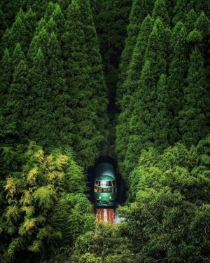Image post by @fubiz on Instagram