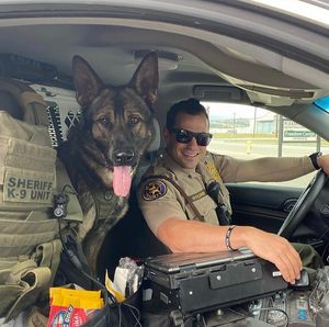 Image post by @vcsheriff on Instagram